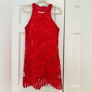 Lovers + Friends Red Lace Mini Dress